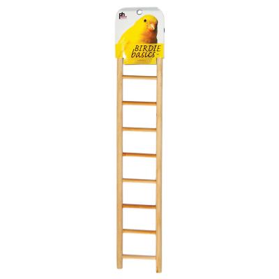 9-rung Bird Ladder-385