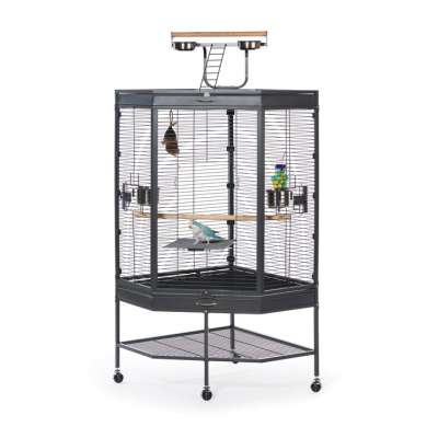 Corner Cage with Playtop