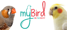 MyBird Resources