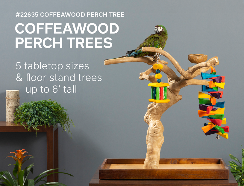 Coffeawood Perch Trees