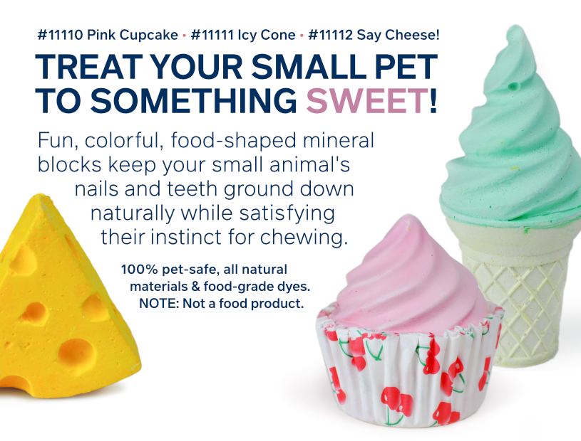 Food-Shaped Mineral Blocks