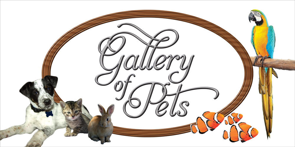Gallery of Pets