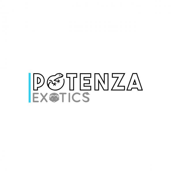Potenza Exotics, LLC