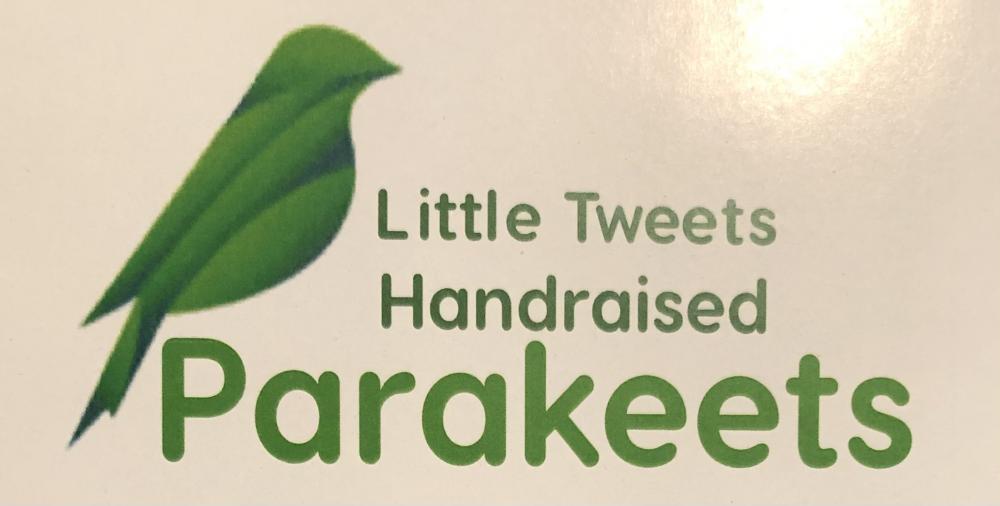 Little Tweets Parakeets