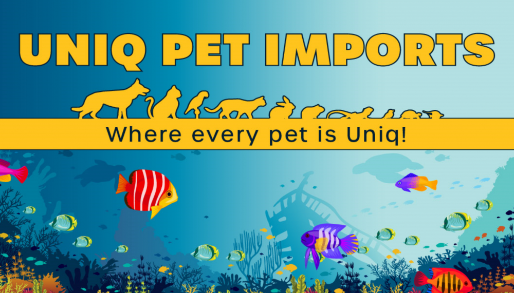 Uniq Pet Imports