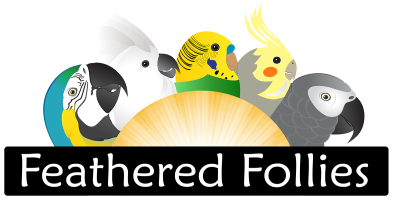 Feathered Follies  Avequus LLC