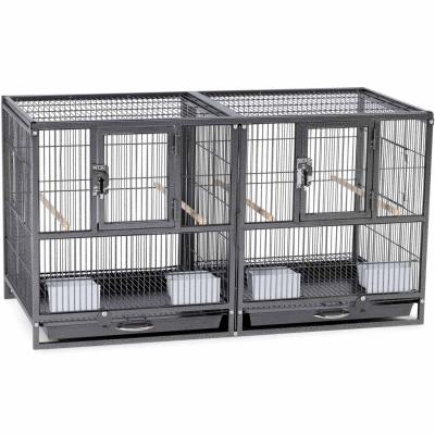 Breeder bird shop cages wholesale