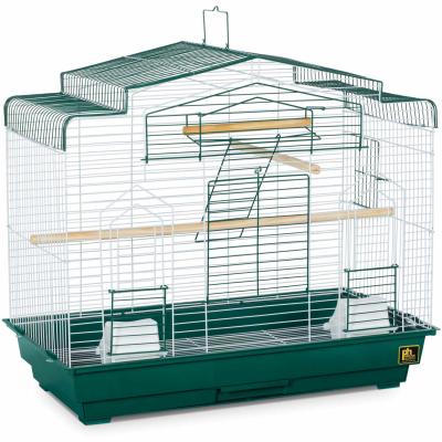 Cockatiel Flight Bird Cage