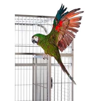 Prevue Pet Products Imperial Extra Large Stainless Bird Cage 3457 - 3457