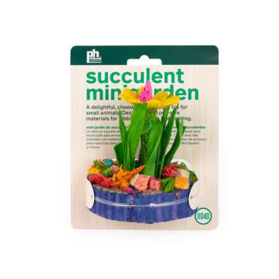 Succulent MiniGarden - 11040