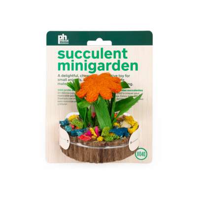 Succulent MiniGarden - 11040