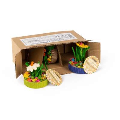 Succulent MiniGarden 3 Pack - 11041