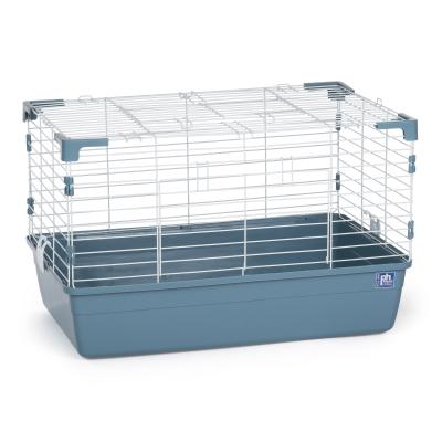 Small Animal Tubby Ice Blue - 522ICEBLUE