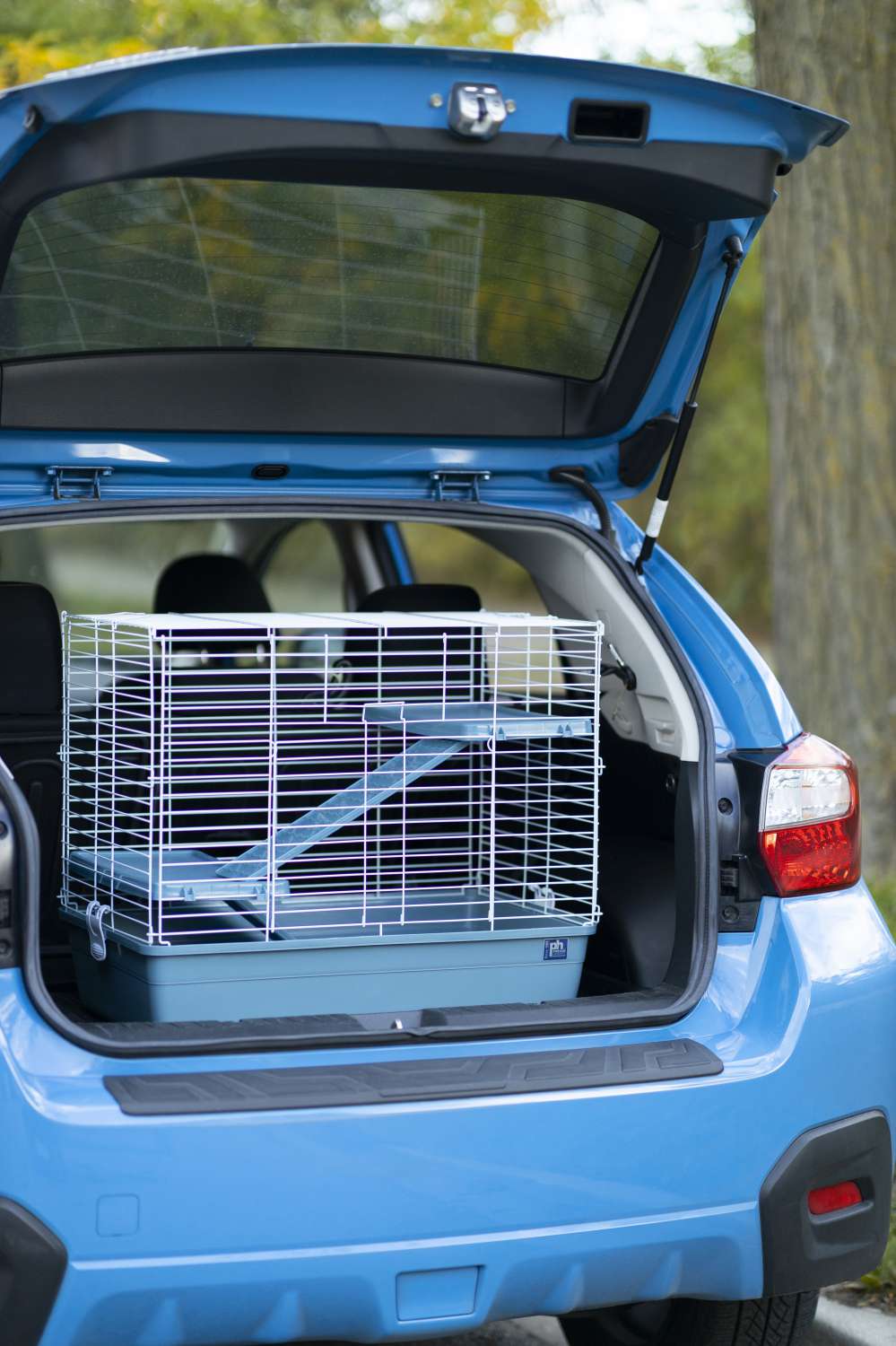 Adult Ferret Home/Travel Cage Blue 529BLUE Prevue Pet Products
