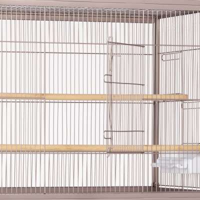 Flight Bird Cage - Blush - F042