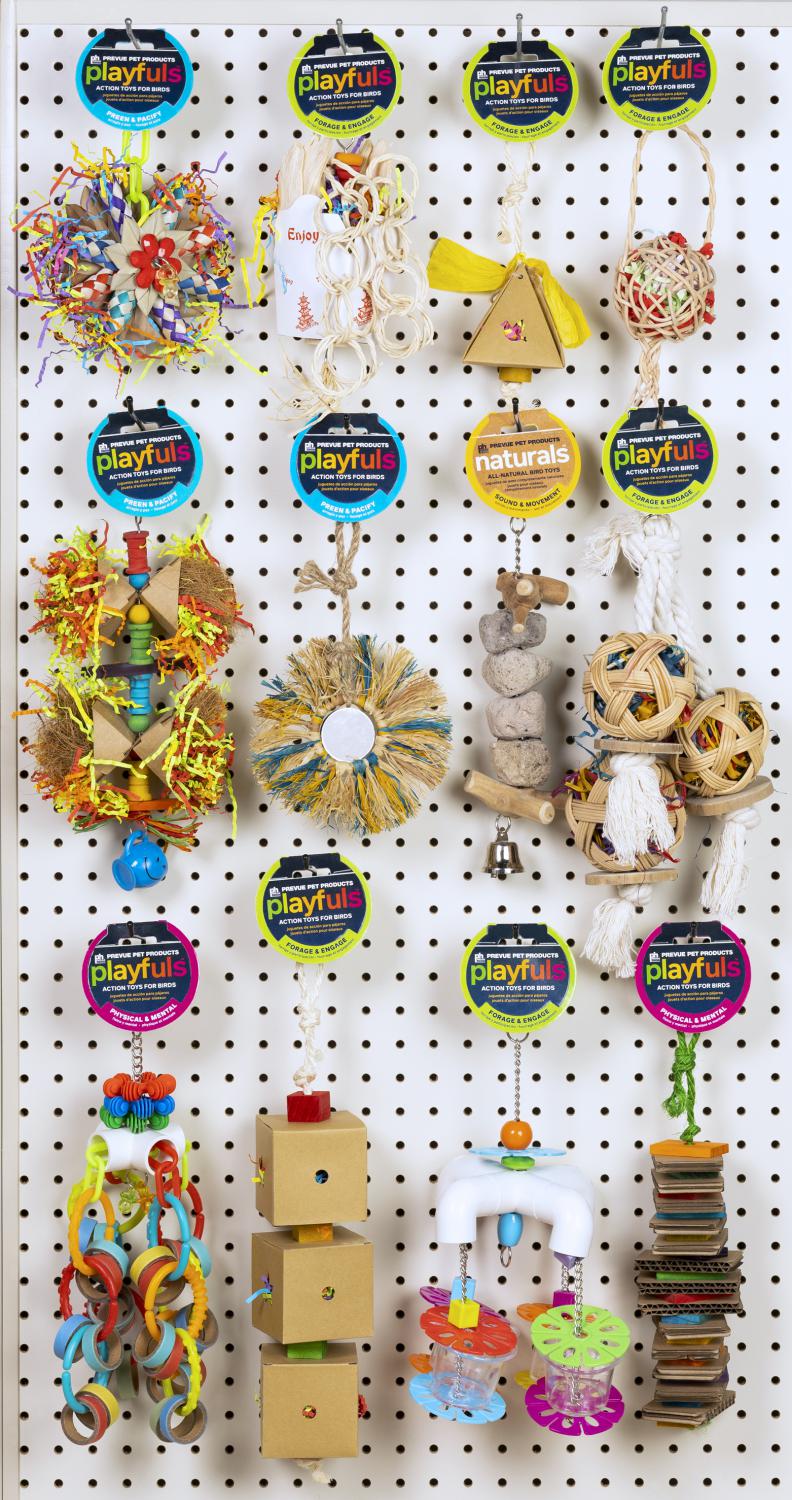 2023 Small to Medium Birds Planogram - B - 62986
