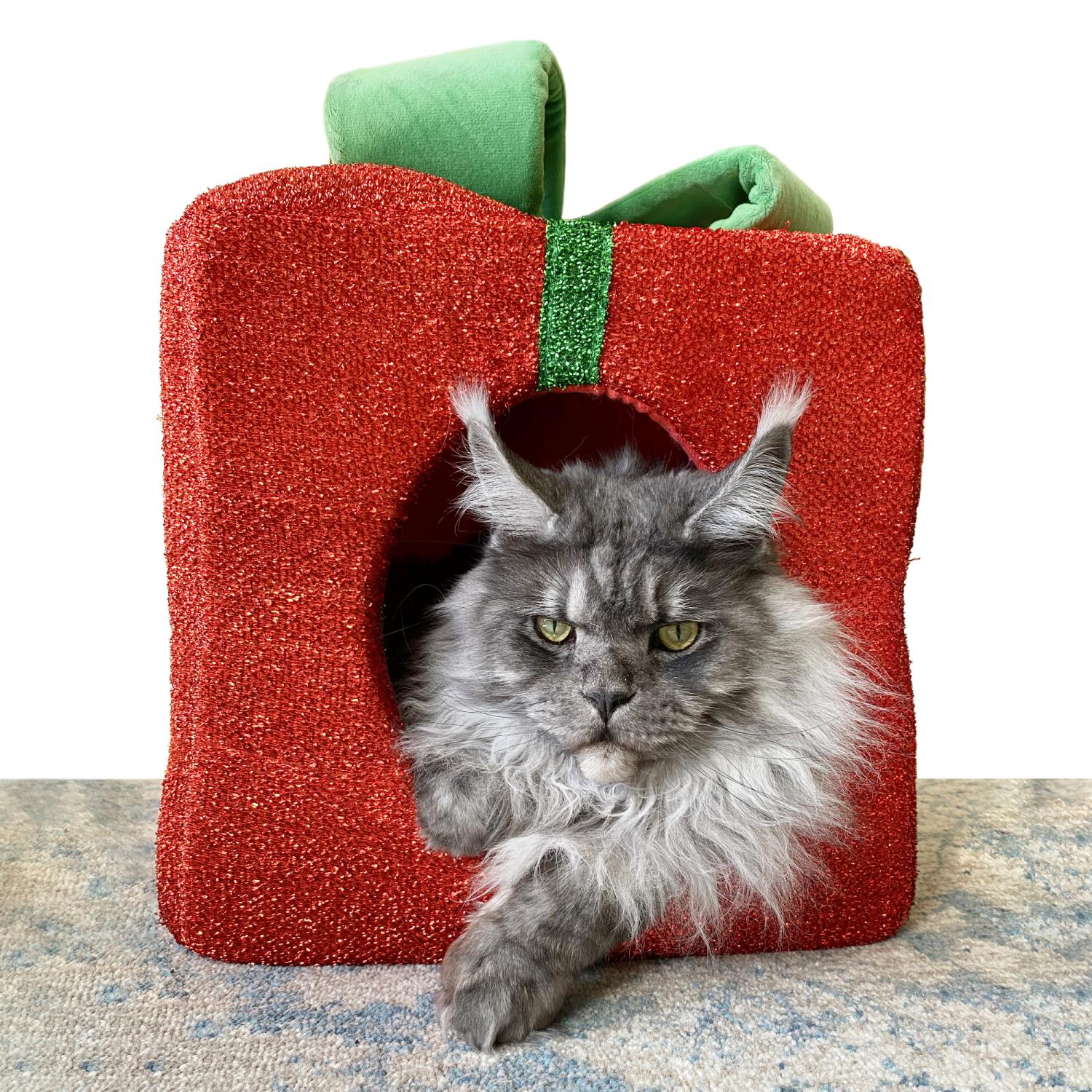 Pearhead Holiday Hot Cocoa Cat Toy Set – Christmas Gift With Catnip, 2-Piece Kitty Play Set