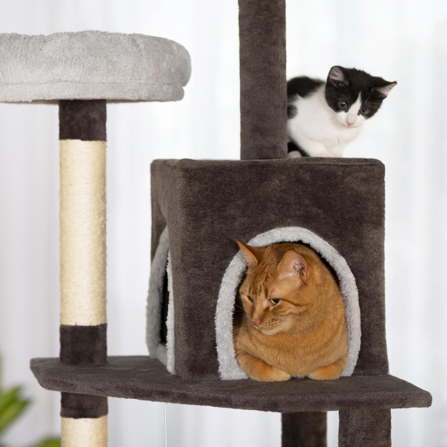 Greycastle Estates Cat Tower 7367 Prevue Pet Products