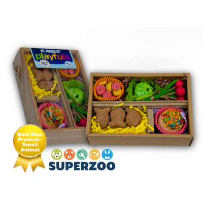 Bento Chew & Shred Box-11130