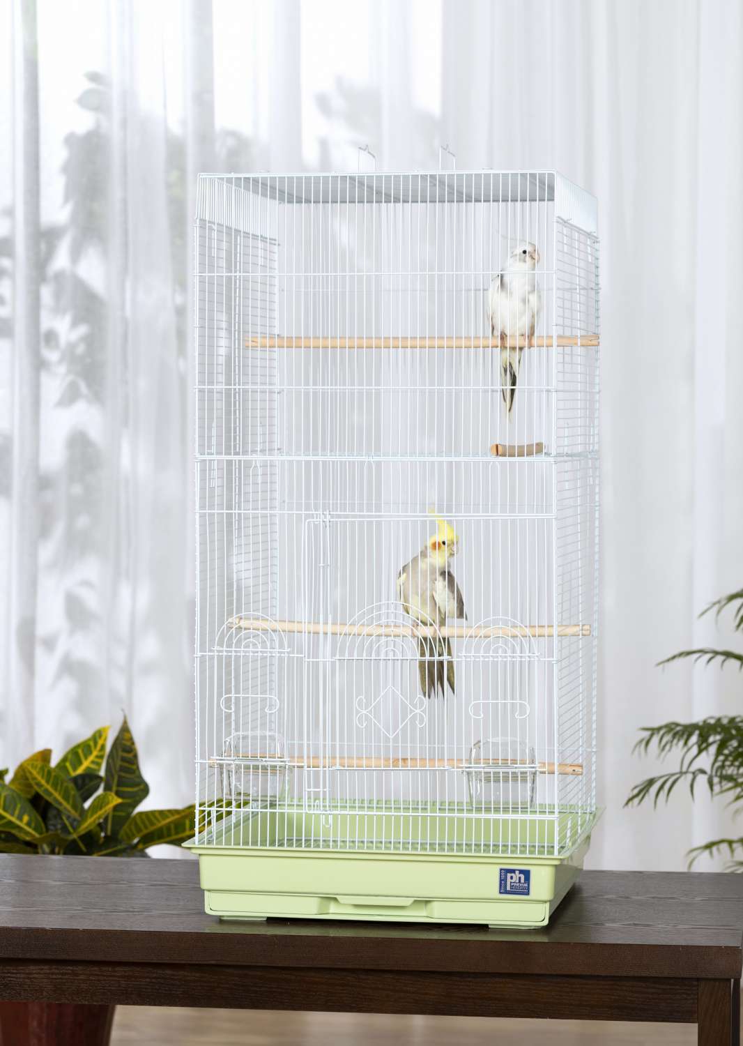 Tall Bird Cages