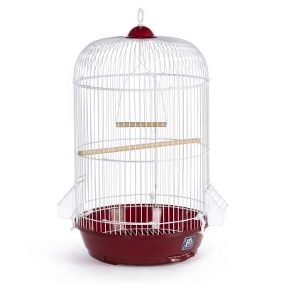 Small Round Bird Cage - Red-SP31999R