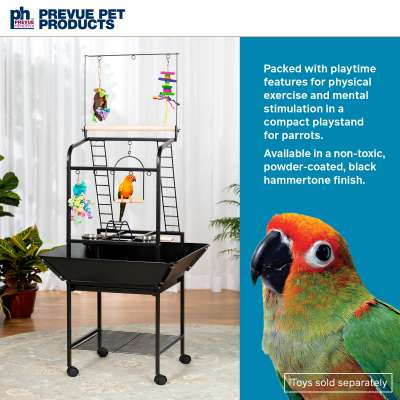 Small Parrot Playstand - 3181