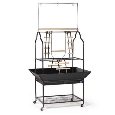 Large Parrot Playstand-3180BLK