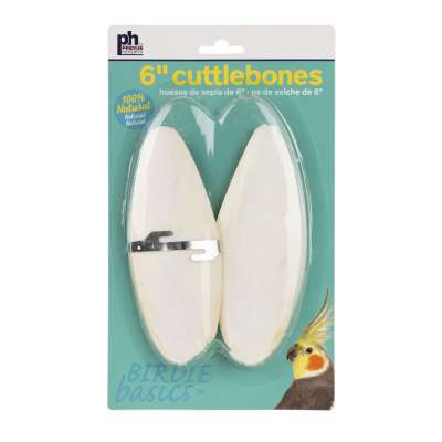 6-inch Cuttlebone / 2pc