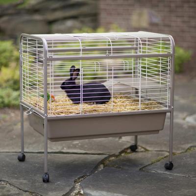 Small Animal Home - Coco - 425