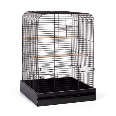 Prevue Pet Products Lincoln Bird Cage, Black : : Pet Supplies