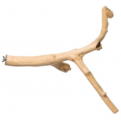 24 Y-Branch Coffeawood Bird Perch-1053