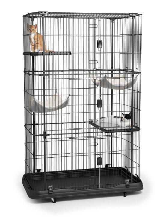 Premium Cat Home with Four Levels - 7500