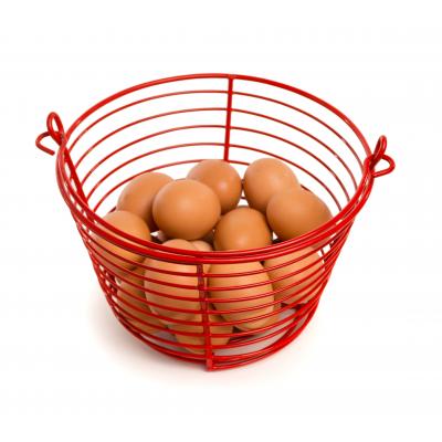 Prevue Pet Products Egg Basket 8 inch diameter 468