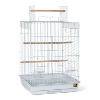 Cockatiel Playtop Bird Cage-SP1818PT