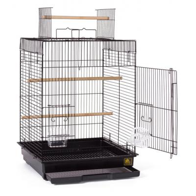 Cockatiel Playtop Bird Cage - Black - SP1818PTB