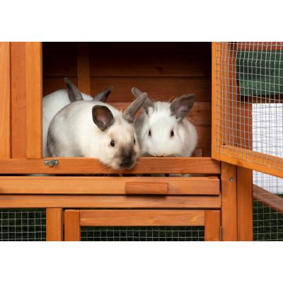 Rabbit Hutch with Double-Run - 4600