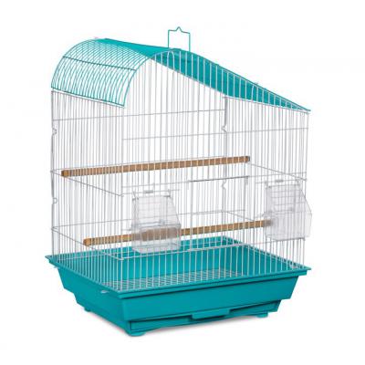 Palm Beach Budgie Collection - 21003