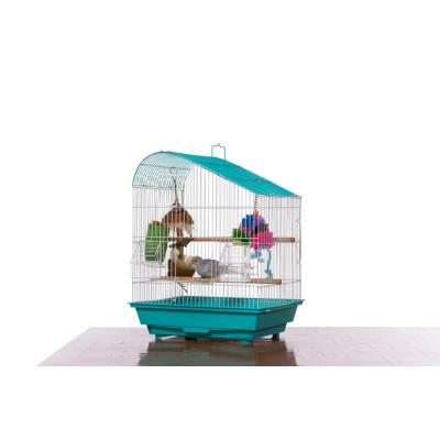Palm Beach Budgie Collection - 21003