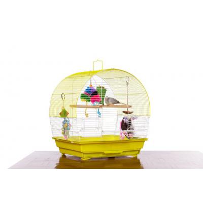Soho Dome Top Roof Chartreuse & White - SP41613C/W