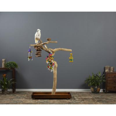 Coffeawood Tree Style # 2 Floor Stand Large - 22625