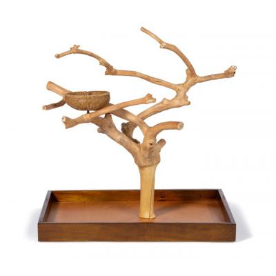 Coffeawood Tree Mini Table Top Medium-22634