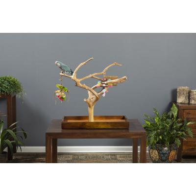 Coffeawood Tree Mini Table Top Medium - 22634