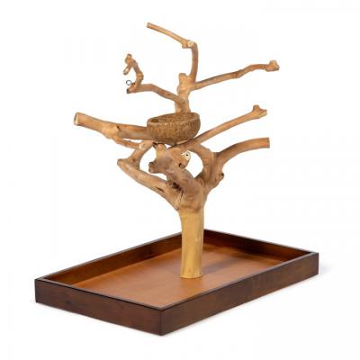 Coffeawood Tree Mini Table Top Medium - 22634