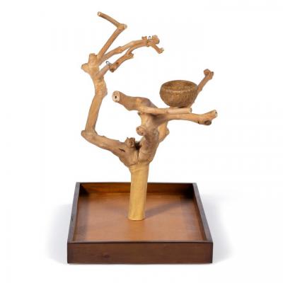 Coffeawood Tree Mini Table Top Medium - 22634