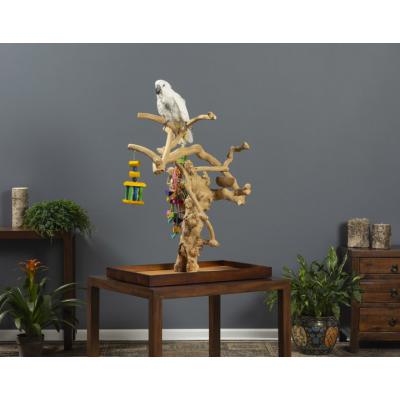 Coffeawood Tree Mini Table Top X-Large - 22636