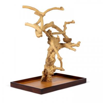 Coffeawood Tree Mini Table Top X-Large - 22636