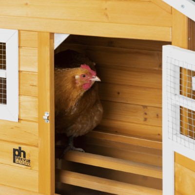 Chicken Coop with Nest Box - 4700