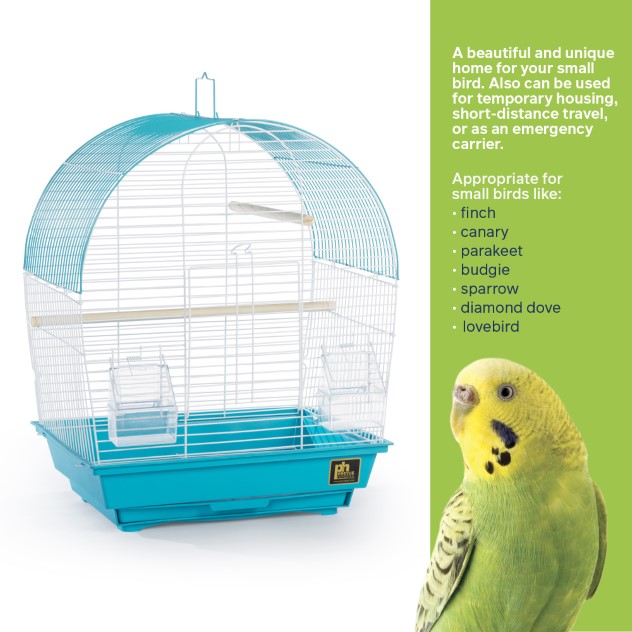 thumbnail image 2 of Prevue Pet Products South Beach Wave Top Bird Cage Lime Green 2 of 9