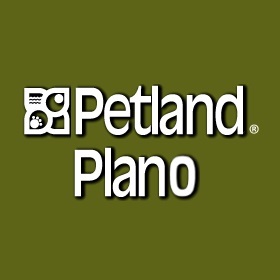 Petland Plano