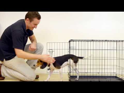 Prevue Home On-The-Go Dog Crate Assembly